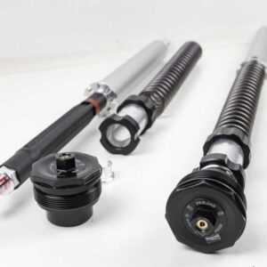 CARTUCCIA Ohlins Ducati Desert X (Kayaba)
